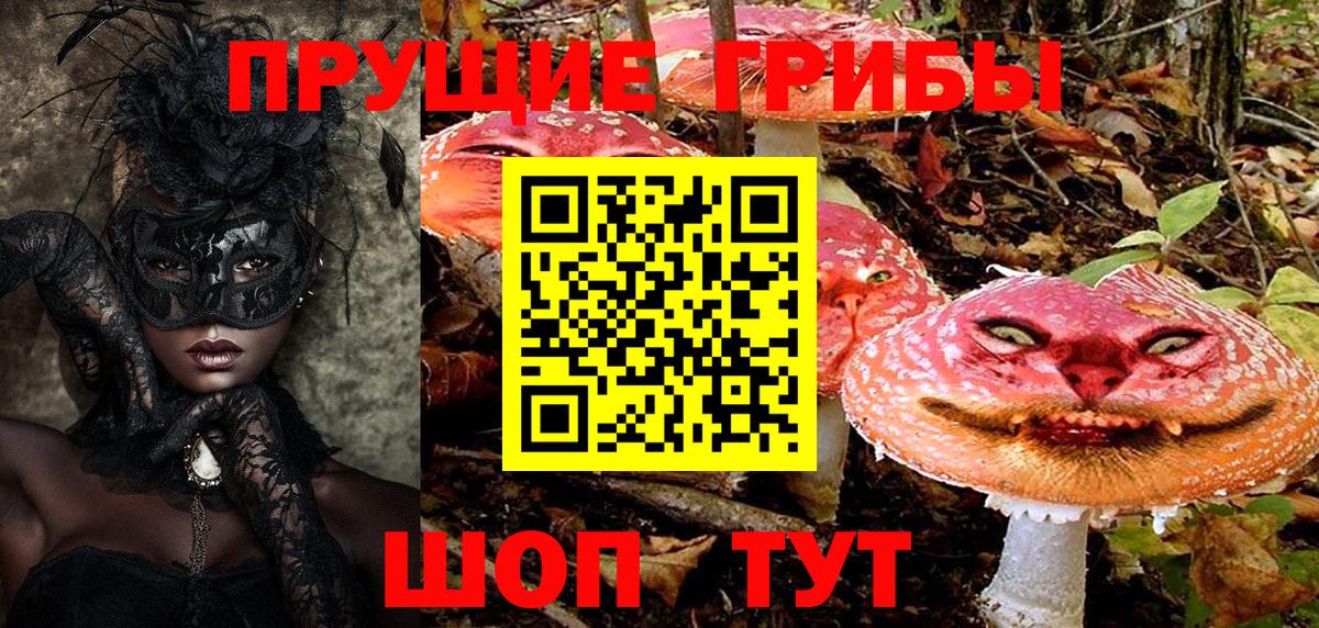 Псилоцибиновые грибы прущие грибы  Вход с VPN  Губкинский  Псилоцибиновые грибы ЛСД 